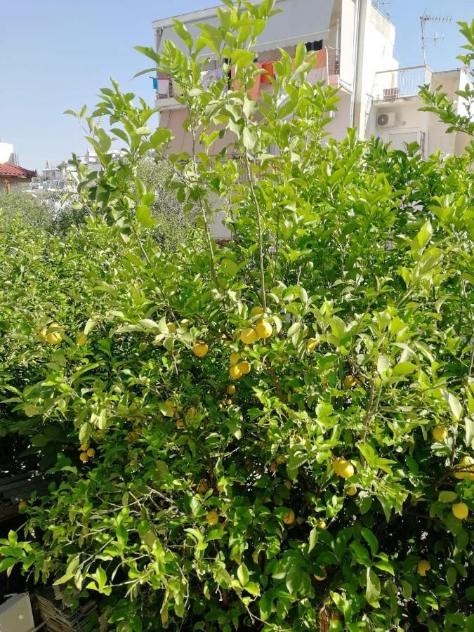 Appartement Lemontree à Athènes Extérieur photo